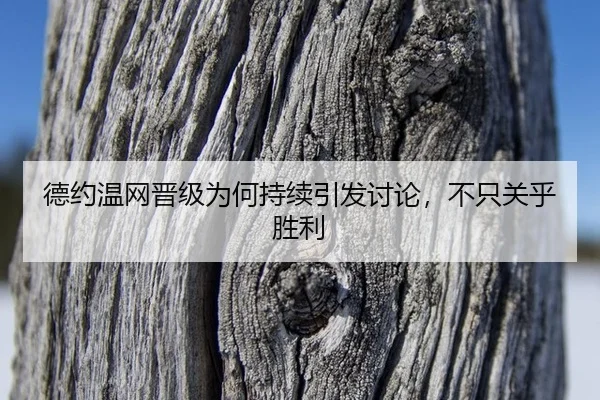 德约温网晋级为何持续引发讨论，不只关乎胜利